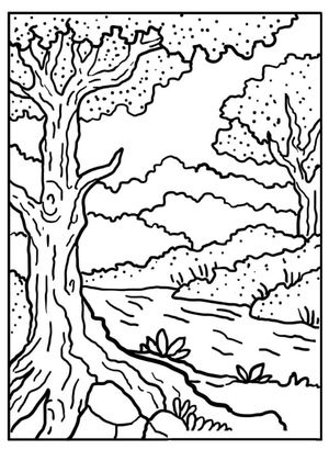 Forest Fresh