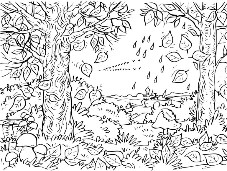 Forest in Autumn Coloring Page