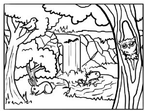 Forest