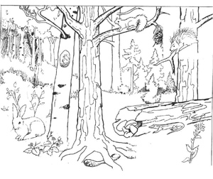 Inhabitants of the Forest Coloring Page