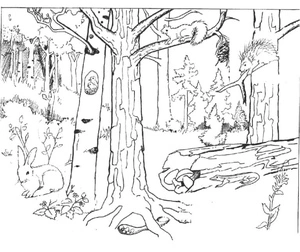 Inhabitants of the Forest Coloring Page Coloring Page
