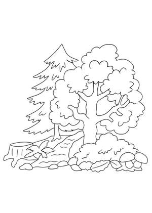Trees in the Forest Coloring Page