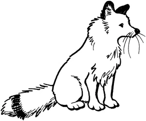 A Fox with Red Fur Coloring Page