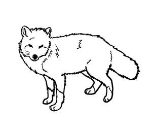 A Generic Fox Coloring Page