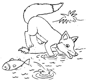 Fishing Fox