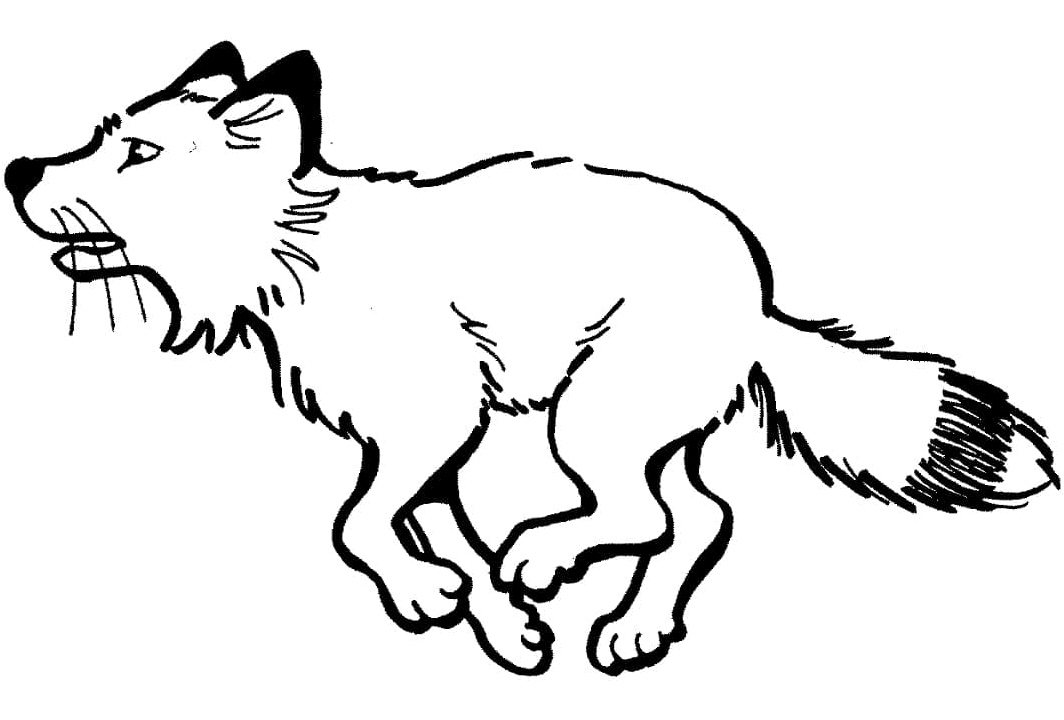 Red Fox in Motion Coloring Page