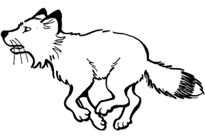 Red Fox in Motion Coloring Page