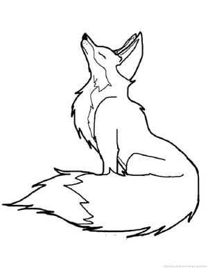 Regal Fox