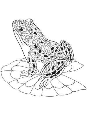 Friendly Frog Coloring Page