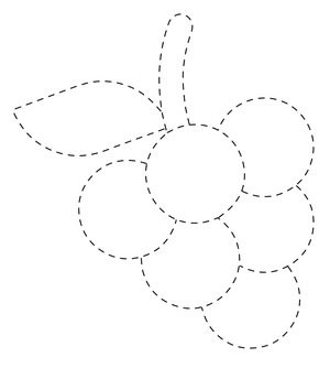 Fruit Tracing