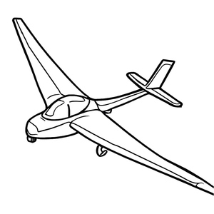 A Soaring Bird