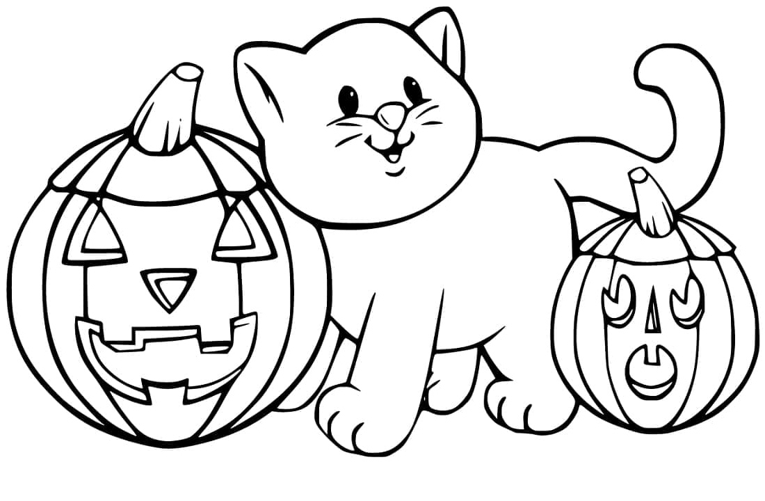 Cat and Pumpkins for Halloween Coloring Page