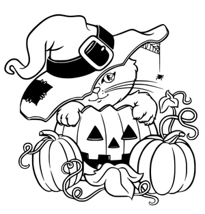 Halloween Cat