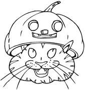 Cat Wearing a Pumpkin Hat