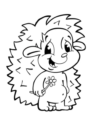 An Adorable Hedgehog