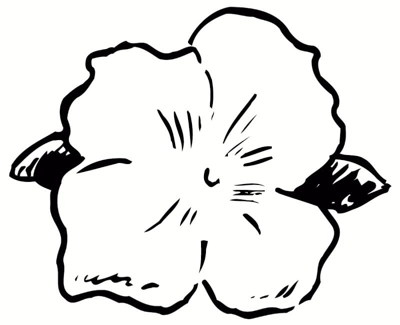 Hibiscus in April Coloring Page