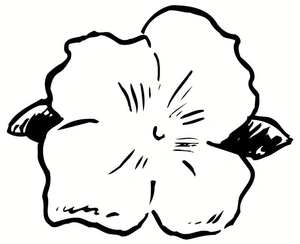 Hibiscus in April Coloring Page