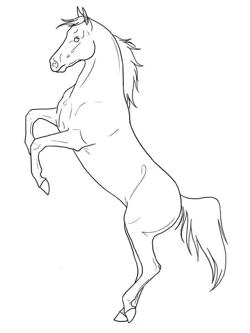 Free Horse Coloring Page Coloring Page