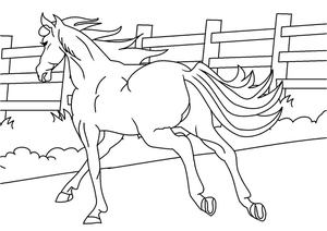 Horse Coloring Page Available for Free Download