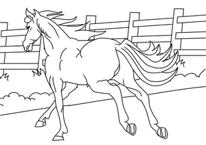 Horse Coloring Page Available for Free Download Coloring Page