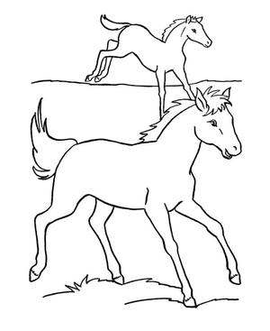 Joyful Ponies