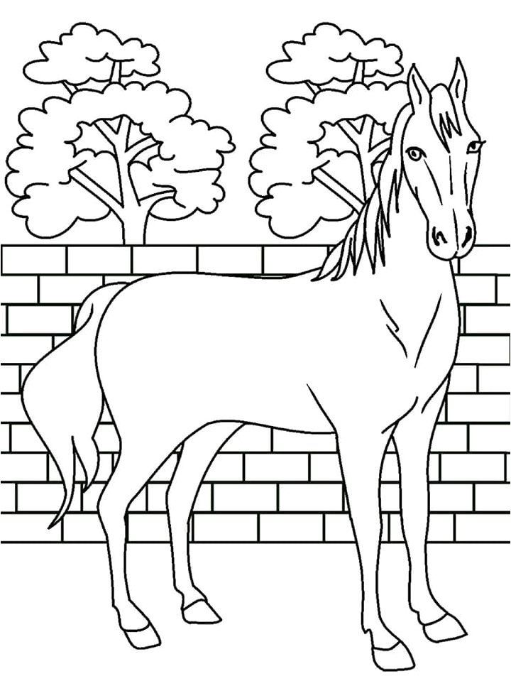 Majestic Horse Standing Coloring Page