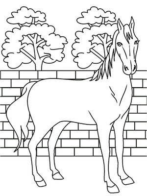 Majestic Horse Standing