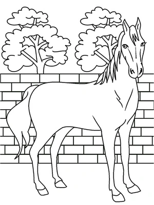 Majestic Horse Standing Coloring Page
