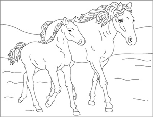 Mother Horse and Baby Horse