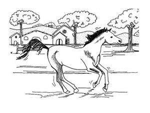 Printable Horse Galloping