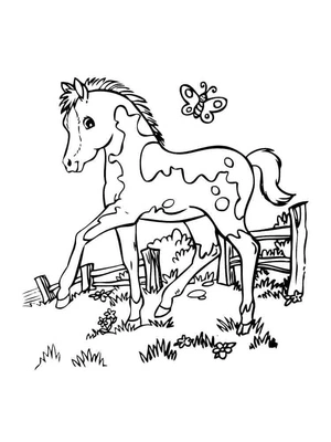 Tiny Horse and Flutterby Coloring Page