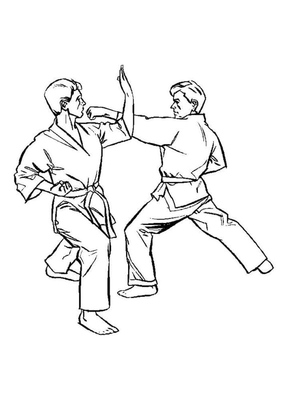 Karate Showdown