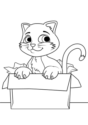 A Cat in a Crate