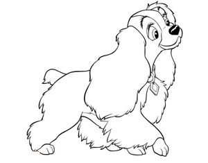 Lady the Golden Cocker Spaniel