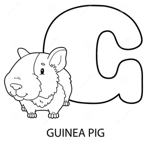 The Coloring Page Name is "G is for Guinea Pig"