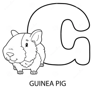 The Coloring Page Name is "G is for Guinea Pig" Coloring Page