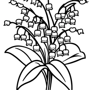 Lily of the Valley Coloring Page - Sheet 4 Coloring Page