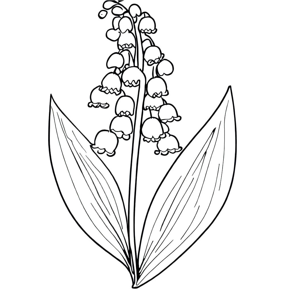 Lily of the Valley - Page 5 Coloring Page