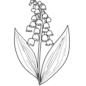 Lily of the Valley - Page 5 Coloring Page