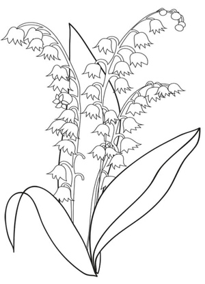Sheet 1: Lily of the Valley 