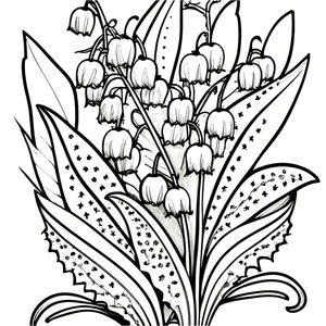 Sheet 3: Lily of the Valley Coloring Page Coloring Page