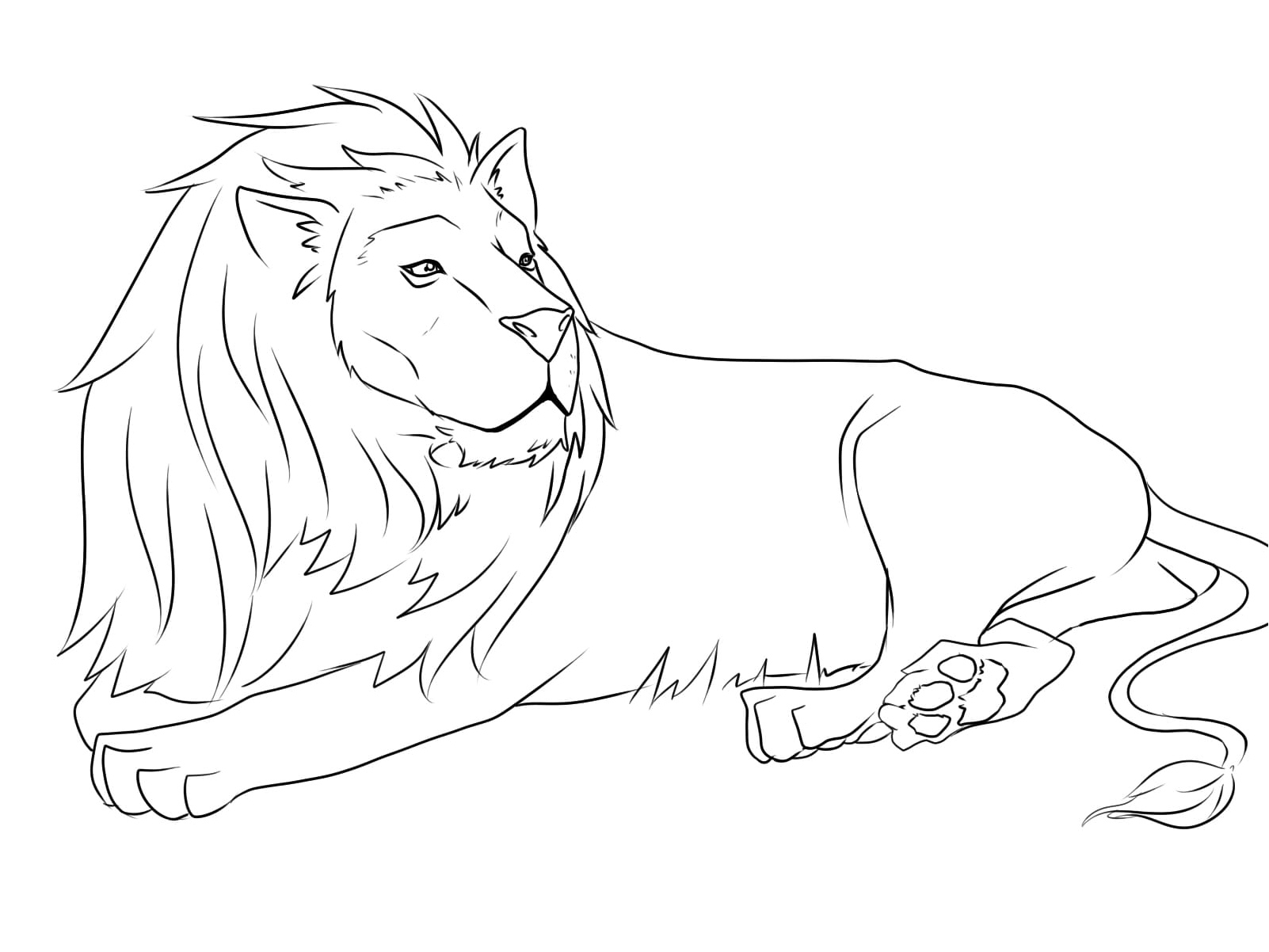 Lion Resting peacefully Coloring Page