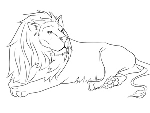 Lion Resting peacefully