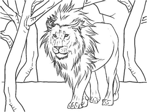 Lion with Attitude Coloring Page