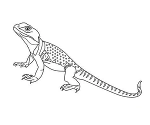 Lively Lizards Outline Coloring Page