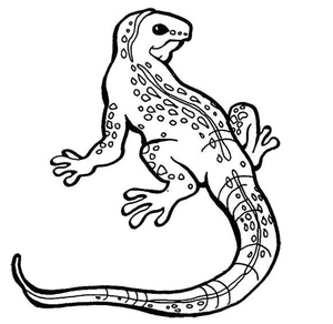 Lively Lizards