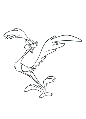 Road Runner from Looney Tunes