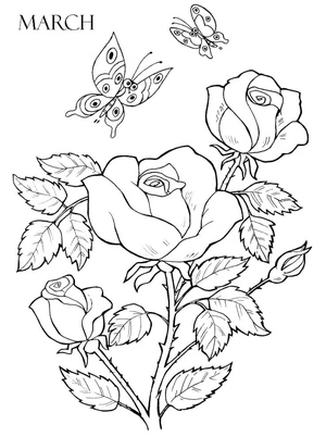 March Roses Coloring Page