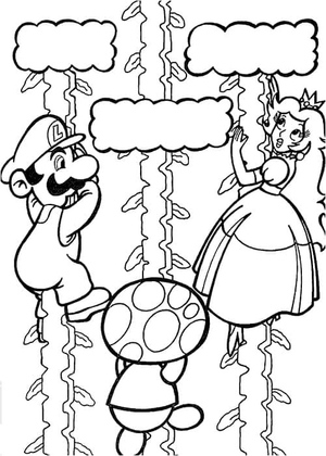 Rescue Mission with Mario and the Princess