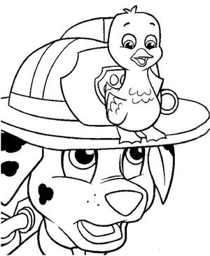 Marshall Paw Patrol